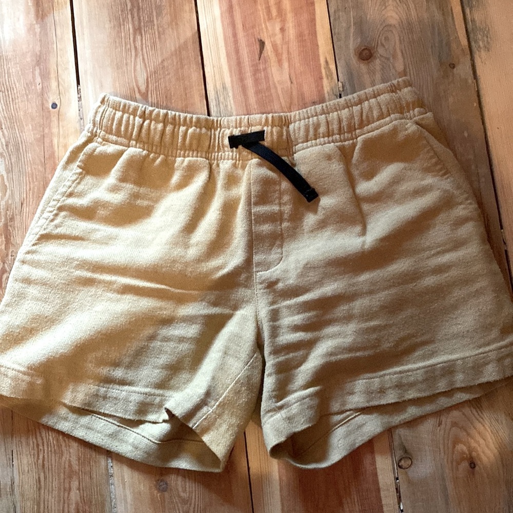 ANIAN Oxford volley shorts XS great used condition